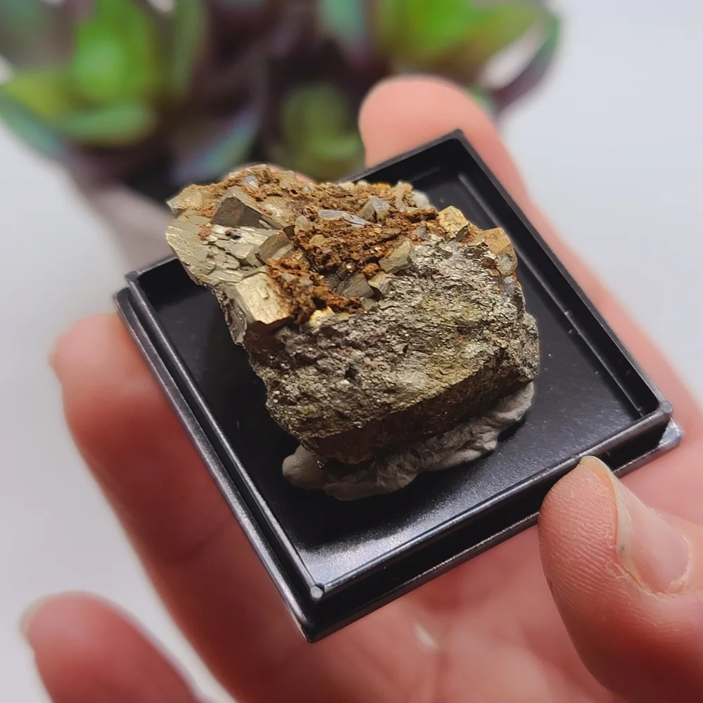 USA Pyrite Crystal Mineral Specimen from Tennessee - Old Stock